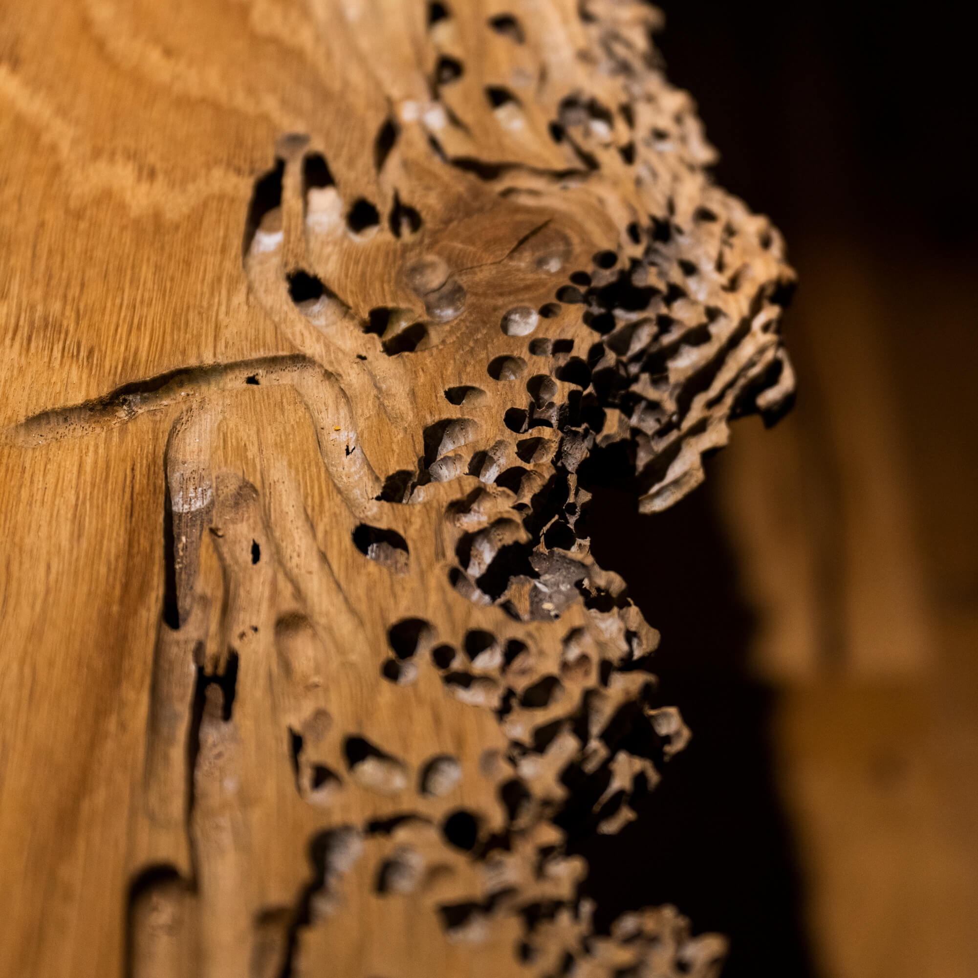 immagine hall bed & breakfast provincia di bergamo