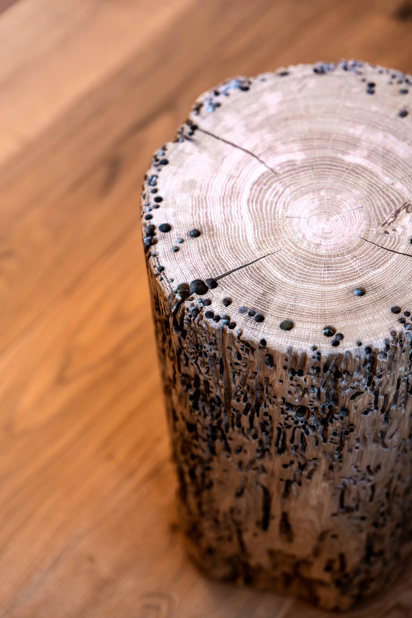 immagine hall bed & breakfast provincia di bergamo